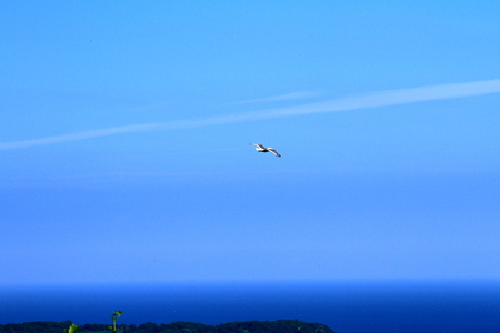 Scenery of Otaru Bay in the summerの写真素材