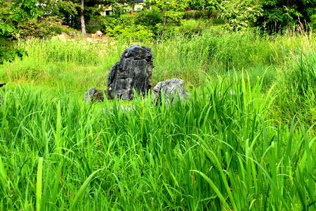 Early morning of Sapporo  parkの写真素材