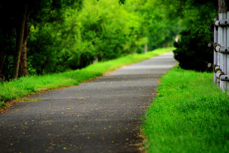 Promenade of Sapporo City parkの写真素材