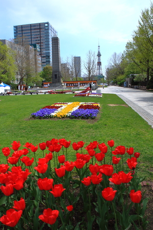Hokkaido Sapporo odori park flower bedのeditorial素材