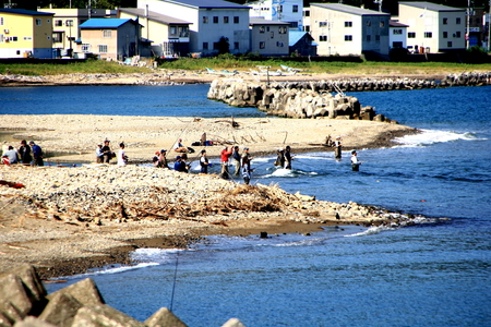 Fishing people enjoying salmon fishing at the Furubira River in Otaru City, in Hokkaido, September 28, 2011のeditorial素材