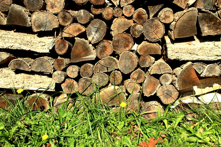 Scenery of firewood hutの写真素材