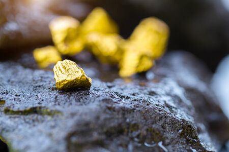 Gold on the stone floor Discovering Success and Investing Concepts with Business Partners.の写真素材