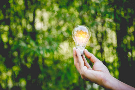 Hand holding light bulb,energy sources for renewable,natural energy and love the world concept.の写真素材