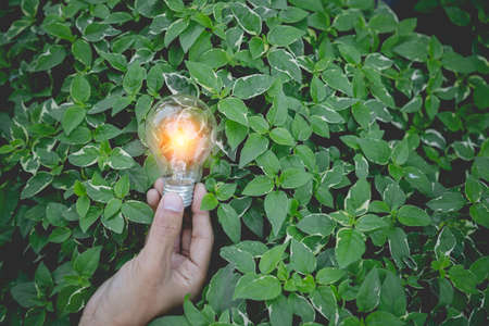 Hand holding light bulb,energy sources for renewable,natural energy and love the world concept.の写真素材