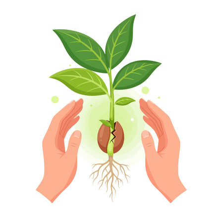 Human hands holding sprout with roots.のイラスト素材