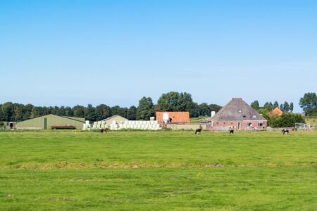 Farmhouse and meadows in polder near Spijkerboor in North Holland, Netherlandsのeditorial素材
