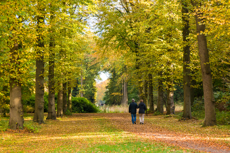 Couple walking on path covered with fallen leaves in woods in autumn on estate Boekesteyn, 's Graveland, Netherlandsのeditorial素材