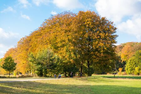 People walking and autumn trees in wood of country estate Boekesteyn, 's Graveland, Netherlands