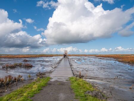 Boardwalk path leading to bird hide on island of Marker Wadden in Markermeer, Netherlandsの写真素材