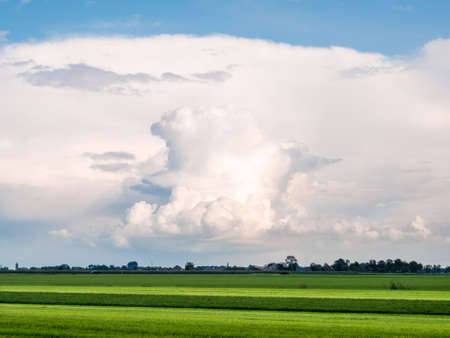 Cumulonimbus storm cloud, anvil cloud, over meadows of polder landscape in Friesland, Netherlandsの写真素材
