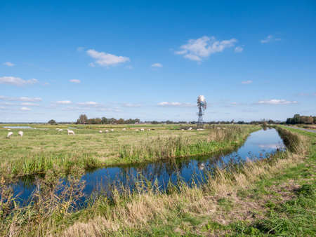 Windwatermill draining wetland polder, water level control in nature reserve Alde Feanen, Friesland, Netherlandsの写真素材