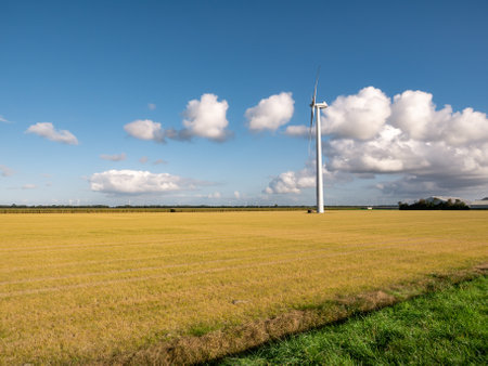Weed killer, glyphosate, a chemical herbicide, sprayed on field to control weeds in Flevopolder, Netherlandsの写真素材