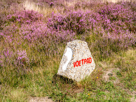 Walking marker sign post with footprint in nature reserve Goois Natuurreservaat between Bussum and Hilversum, het Gooi, Netherlandsの写真素材