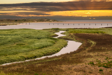 Salt marshes of tidal inlet of The Zwin nature reserve at North Sea coast at sunset, at border between Belgium and the Netherlandsの写真素材