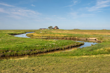 Landscape with Kirchwarft, warft on Hallig Hooge, North Frisia, Schleswig-Holstein, Germanyの写真素材