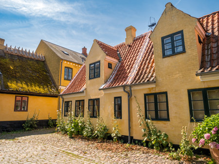 Historical yellow houses in old town of Dragor on Amager Island near Copenhagen, Zealand, Denmarkの写真素材