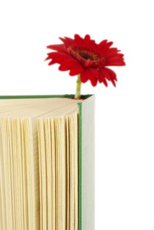 Book with a red flower between pages.                   の写真素材