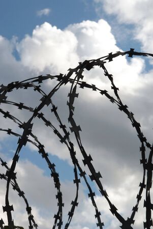 coils of the barbed wire on a background sky                  の写真素材