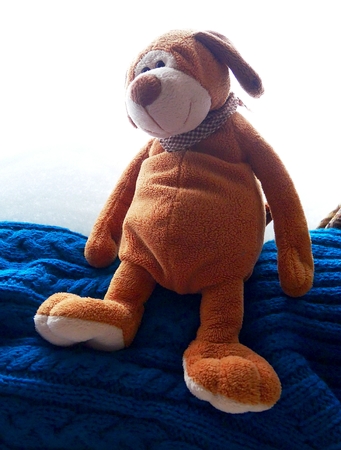 Toy yellow dog on the background of a winter windowの写真素材