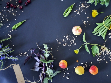 Top view, on a dark background a composition of sea salt, flowers, greens, spices and fruits, summerの写真素材