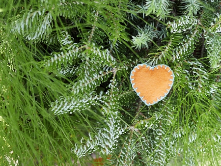 Hand-made felt heart as a coniferous branch, Christmas and New Year's seasonの写真素材