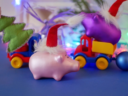 Santa's hat pigs, illuminated, toy carsの写真素材
