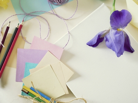 blank canvas, art materials, flowers, top viewの写真素材