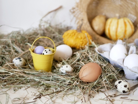 Eggs, package, pumpkins, hay, Easter concept, harvest, holidays, village, farmの写真素材