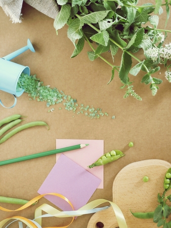 Green peas, spicy greens, sea salt, paper, pencilの写真素材