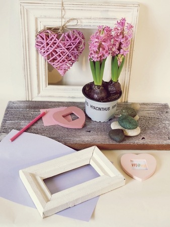 Pink blooming hyacinths in a pot, heart decor, framesの写真素材