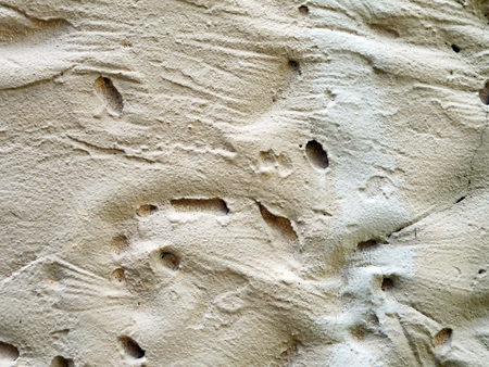 texture walls of clay
