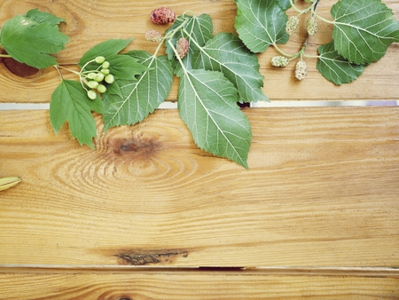 berries, leaves on wooden tableの写真素材