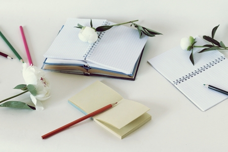 paper, books, pencils, peony flower, top view, training, educationの写真素材