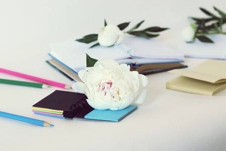 paper, books, pencils, peony flower, top view, training, educationの写真素材