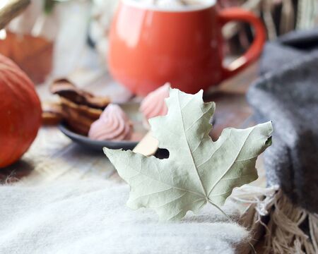 Autumn leaf on a background a cup of coffee with meringues, pumpkins, a plaid on a window background, the concept of home comfort, Thanksgiving, autumn seasonの写真素材