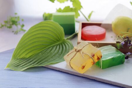 Soap, antiseptic liquid, healthy herbs, aromatic oil for hygienic procedures, natural cosmetics,...