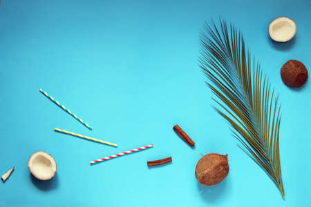 Palm leaf, sun from coconut and cocktail tubes on a bright blue background, top view, concept of...