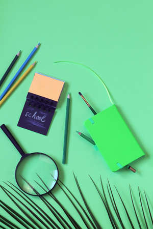 Back to school, stationery, leaves on colorful bright background, top view, flat lay, copy space