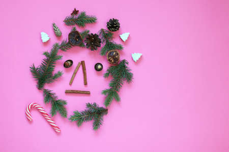 Merry Christmas, funny face made from fir branches, spices, cones and chocolates on a bright...