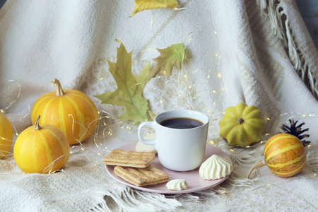 A cup of coffee, meringues, pumpkins, leaves, a warm blanket on the windowsill, the concept of home comfort, relaxation, loneliness, Thanksgiving, autumn seasonの写真素材