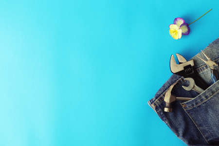 Father's day, tools in jeans pocket on a bright background, flower, concept of congratulations on the holiday, top view, copy spaceの写真素材
