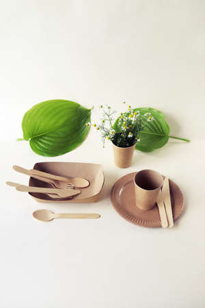 Environmentally friendly disposable tableware made from natural materials, leaves on a light background, the concept of ecology, zero waste, lifestyleの写真素材