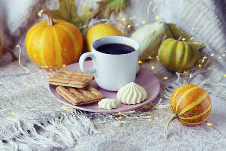 Cup of coffee, meringue, pumpkin, leaves, warm blanket, the concept of home comfort, relaxation, loneliness, Thanksgiving, autumn seasonの写真素材