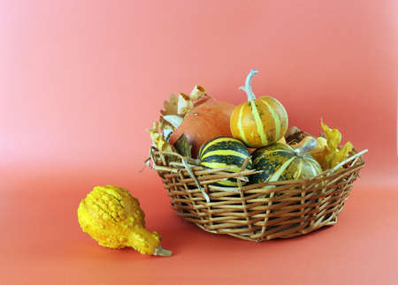 Pumpkins in a wicker basket on an orange background, Thanksgiving, Harvesting, Autumnの写真素材