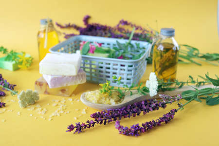 Medicinal herbs and flowers, soap, sea salt and aromatic oil on a bright background, spa,...