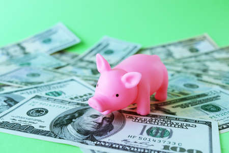 Pink piggy bank, against the background of dollar bills, the concept of the accumulation of wealth, the development of financeの写真素材