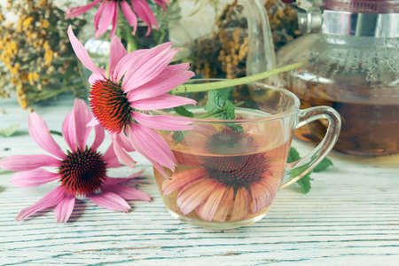 Healing tea from fresh echinacea flowers and mint, in a glass cup and teapot, on a wooden tableの写真素材