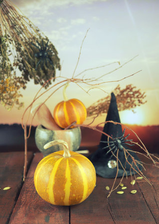 Halloween decorations, pumpkins, mortar, healing plants, witch hat and dry branches on sunset background, composition, home decoration conceptの写真素材