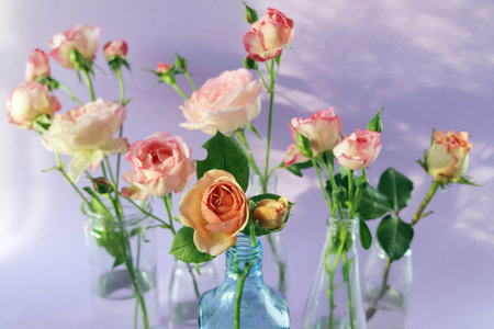 Fresh pink roses in glass transparent vases, flowers for romantic greetings, happy birthday, invitations, postcardの写真素材